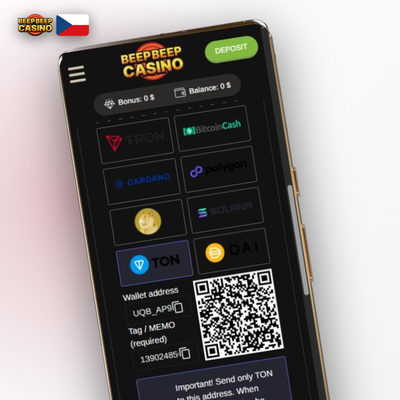 Bankovní převod SEPA pro klasický vklad peněz v Beep Beep Casino
