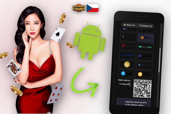 Pole pro zadání částky vkladu a promo kódu v pokladně Beep Beep Casino, minimální vklad 10 EUR